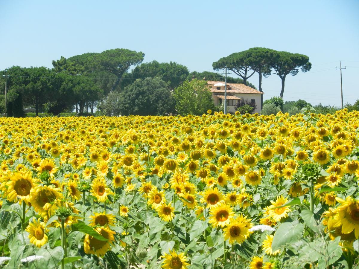 Boschetto Del Lago Villa Castiglione del Lago Buitenkant foto